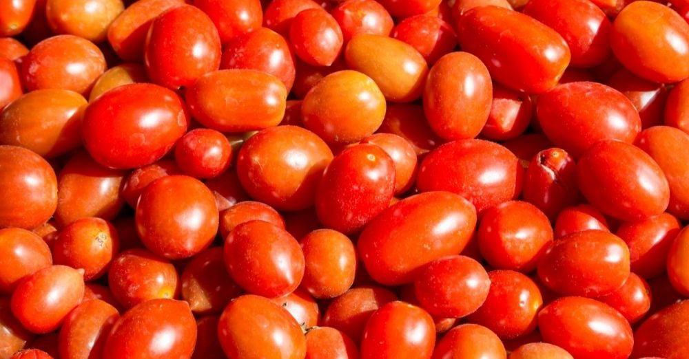 Why Are San Marzano Tomatoes The Best?