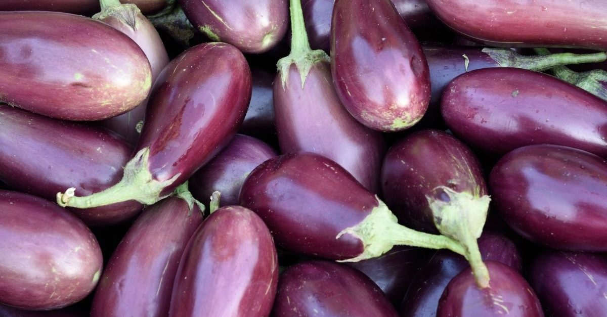 Italian Eggplant Recipes